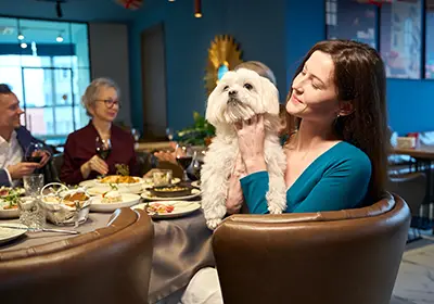 Taking Your Dog to the Pub: Simple Tips for a Happy Outing