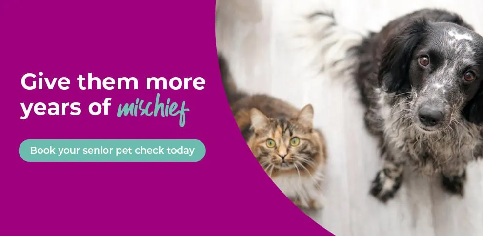 Welcome to The Gables Veterinary Centre in Hessle, East Riding, Yorkshire
