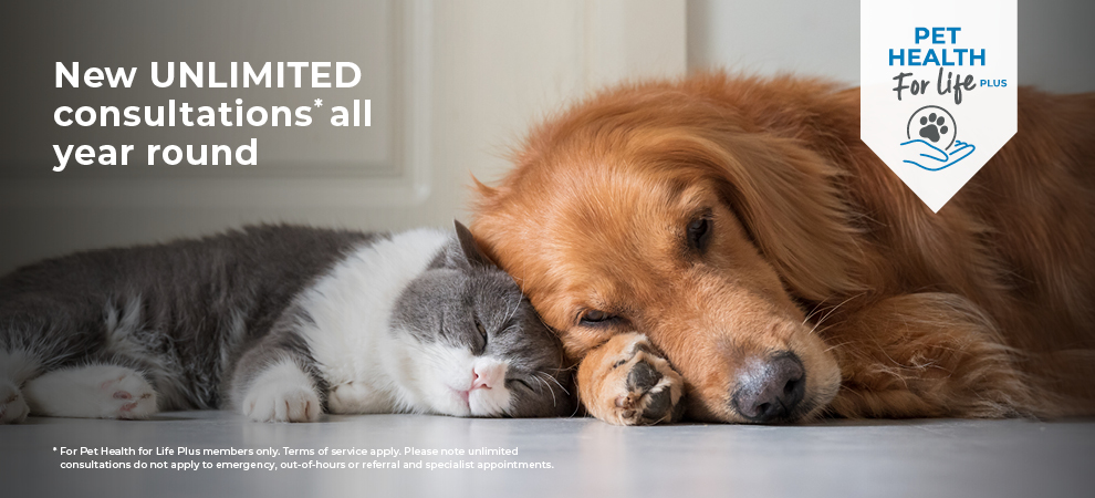 Pet Health Plan from Gables Vets
