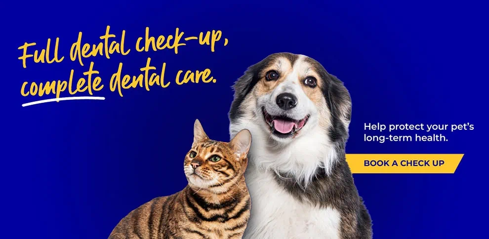 Your Trusted Veterinary Partner in Hessle, Yorkshire