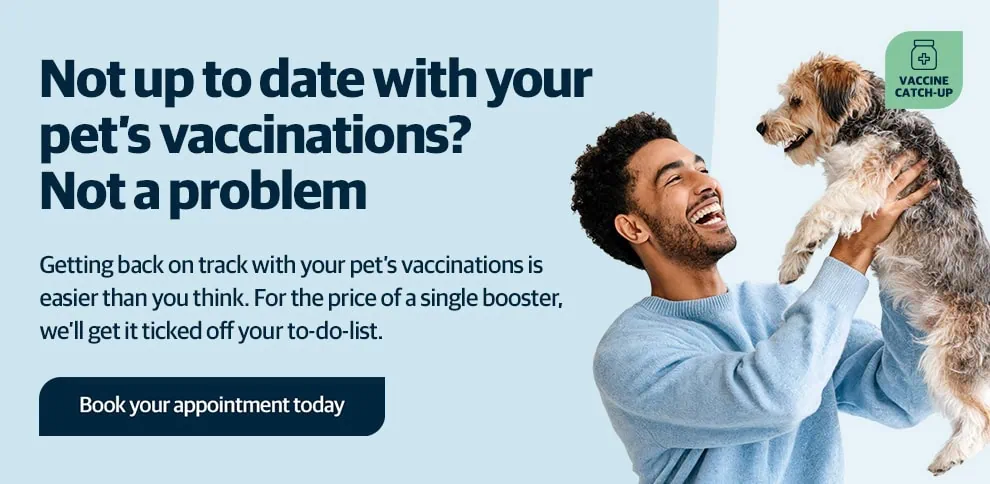 Your Trusted Veterinary Partner in Hessle, Yorkshire