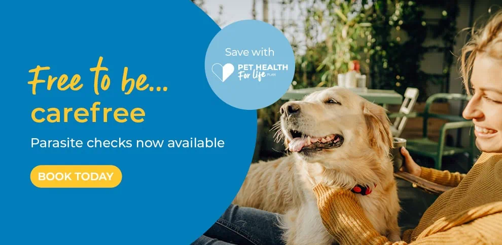 Welcome to The Gables Veterinary Centre in Hessle, East Riding, Yorkshire