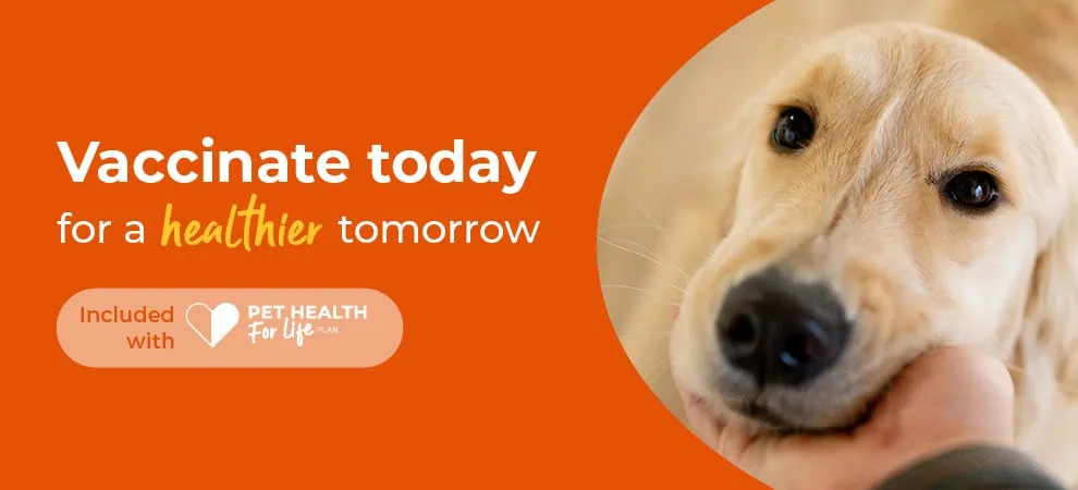 Dog Vaccinations